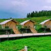 European style tent - Image 17
